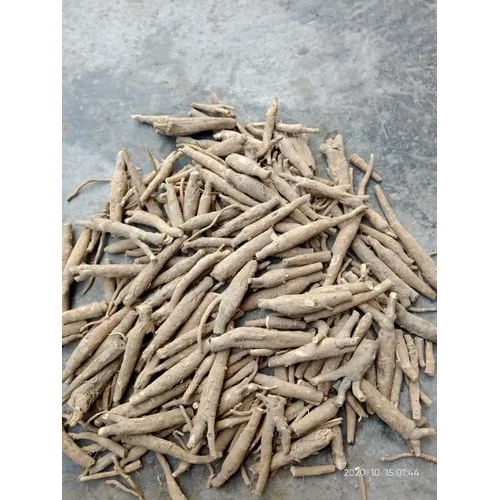 Aswagandha Desi Sticks - Dried Herbs | Brown, For Adults, Store in a Dry Place