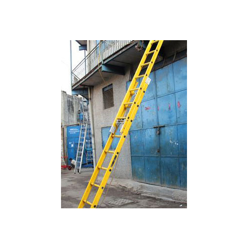 Wall Supported Extension Total FRP Ladder