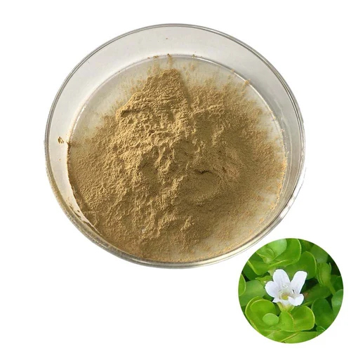 Bacopa Monnieri Extract Powder - Color: Brown