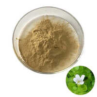 Bacopa Monnieri Extract Powder