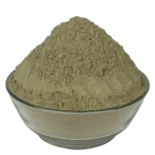 Gymnema Sylvestre Extract Powder - Color: Grey