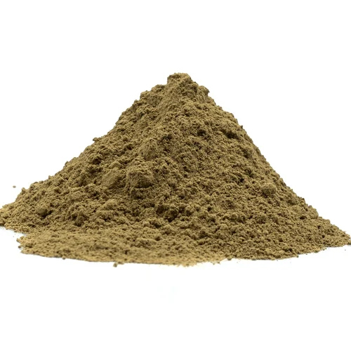 Tulsi Extract Ocimum Sanctum Powder