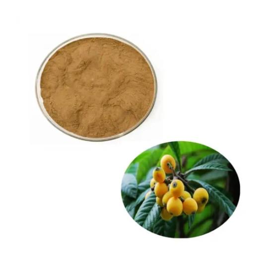 Loquat Leaves Extract ( Eriobotrya japonica Extract ) 