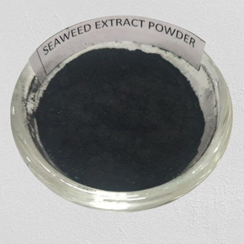 Seaweed Powder