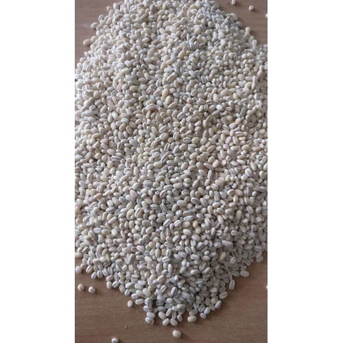 Pearl Barley Regular