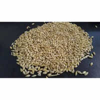 Esskay Bearlee Raw Barley