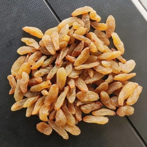 Dried Long Golden Raisin - Cultivation Type: Organic