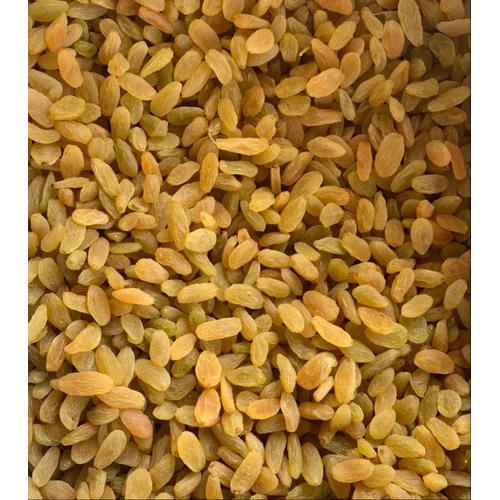 Golden Dried Raisin - Cultivation Type: Organic