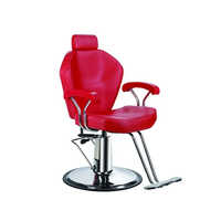 Salon Chair