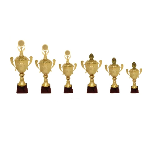 Metal Cup Trophy - Finishing: Smooth