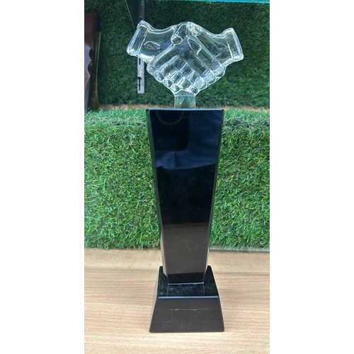 Rectangular Crystal Award