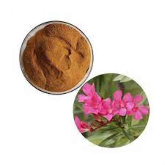 Oleander extract (Nerium oleander) 