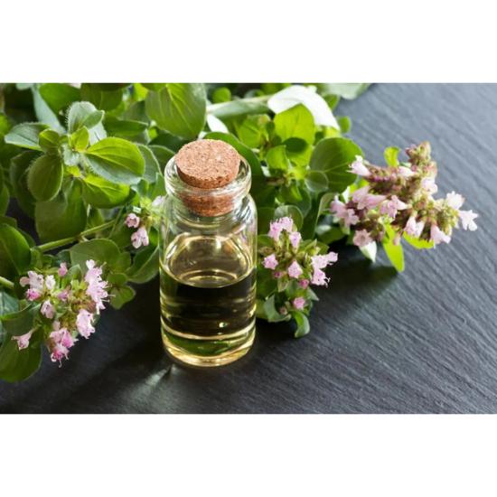 Oregano oil (Origanum vulgare L.)