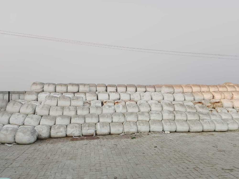 Silage Feed - 1000kg | Premium Nutrient-rich Cattle And Buffalo Silage With Enhanced Digestibility