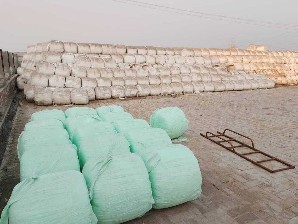 Silage Feed - 1000kg | Premium Nutrient-rich Cattle And Buffalo Silage With Enhanced Digestibility