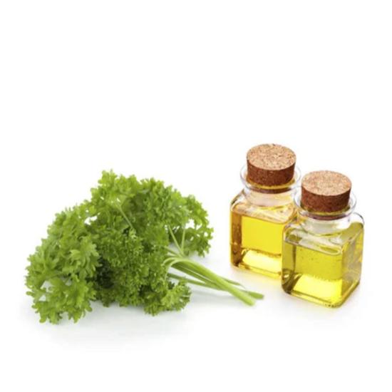 Parsley Seed Essential Oil - Sweet Warm Spicy Herbaceous Aroma | Ideal for Blending and Culinary Use