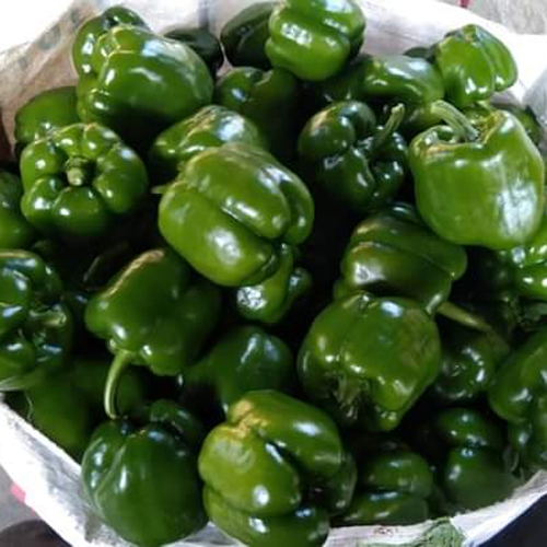 Fresh Capsicum