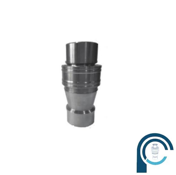 SS 304 Double Check Valve