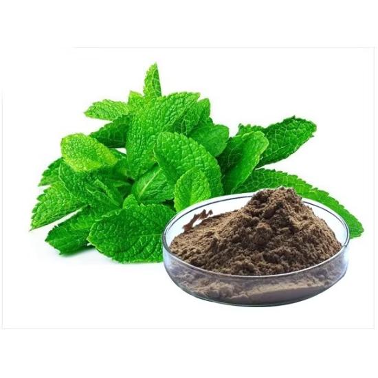 Peppermint Extract ( Mentha Piperita Extract ) - Grade: Pharma & Food Grade