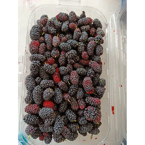 Frozen IQF Mulberry