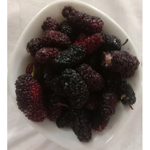 FreFro IND IQF Mulberry