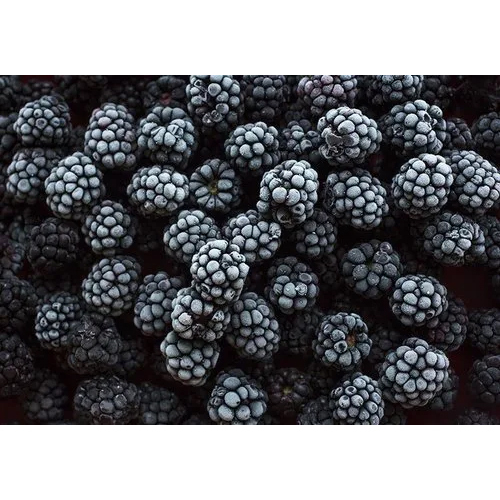 Blackberries IQF Frozen
