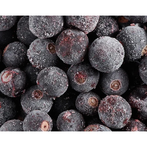 IQF Black Currant