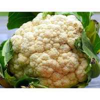 Frozen Cauliflower - Preserving Compound: Place On A Tray In A Single Layer