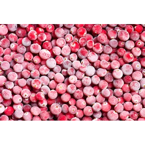 IQF Frozen Cranberry