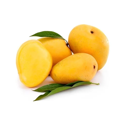 Fresh Badami Mango - Color: Yellow