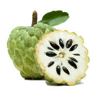 Custard Apple