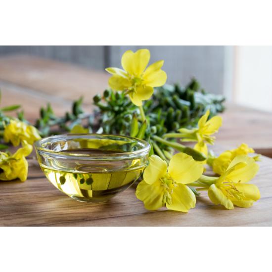 Evening  Primrose Oil ( Oenothera biennis ) 