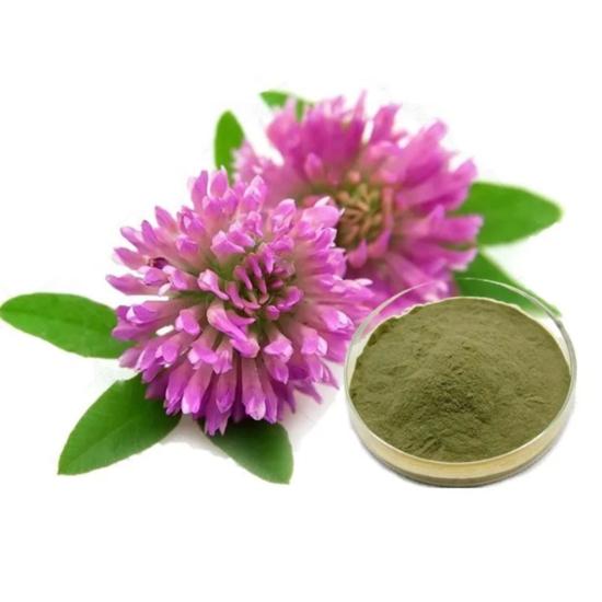 Red Clover Extract ( Trifolium Pratente L. Extract ) - Grade: Pharma & Food Grade