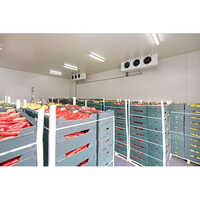 Cold Storage Room - 10-40 Ft Length, 8-10 Ft Height | Ideal For Pharma Industry, White Finish, Customized Sizes