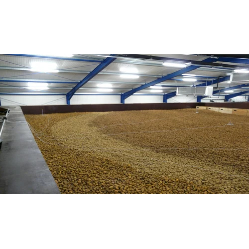 Potato Cold Storage Room