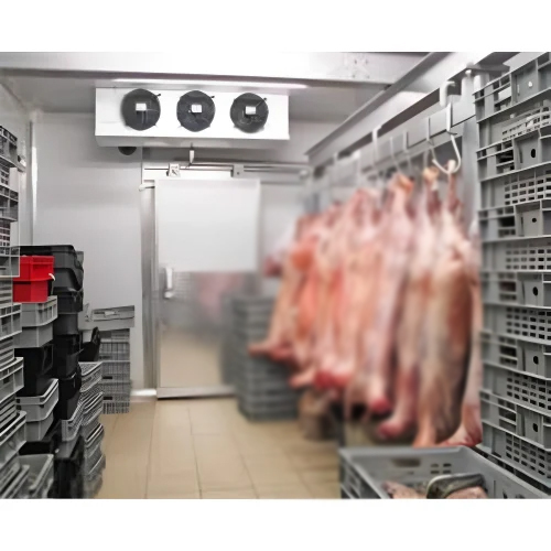 Meat Cold Storage Room - Color: White