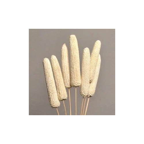 Dried Corn Cobs - Feature: Easy To Clean