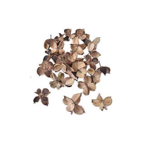 Dried Cotton Flower Petals