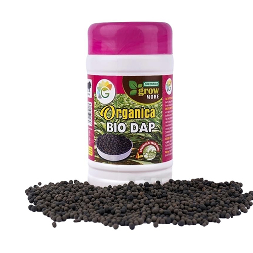 200g Green Rich Bio DAP Di-ammonium Phosphate Fertilizer  Plant Nutrient  Plant Fertilizer for All Types Of Gardening Indoor & Outdoor Plants &...