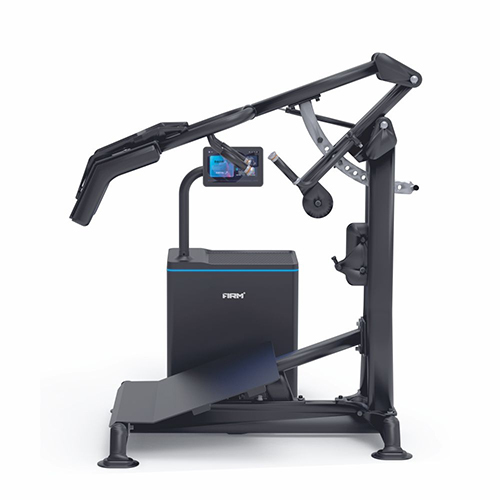 Fm-ds09 Standing Calf Raise Machine - Adjustable, Manual Operation ...