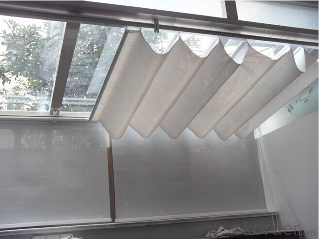 Skylight Blind