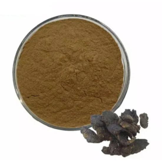 Rehmannia Extract (Rehmannia Glutinosa) - Grade: Pharma & Food Grade