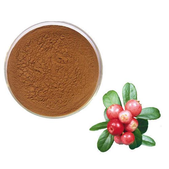 Rose Hip Powder (Rosa canina L.) 