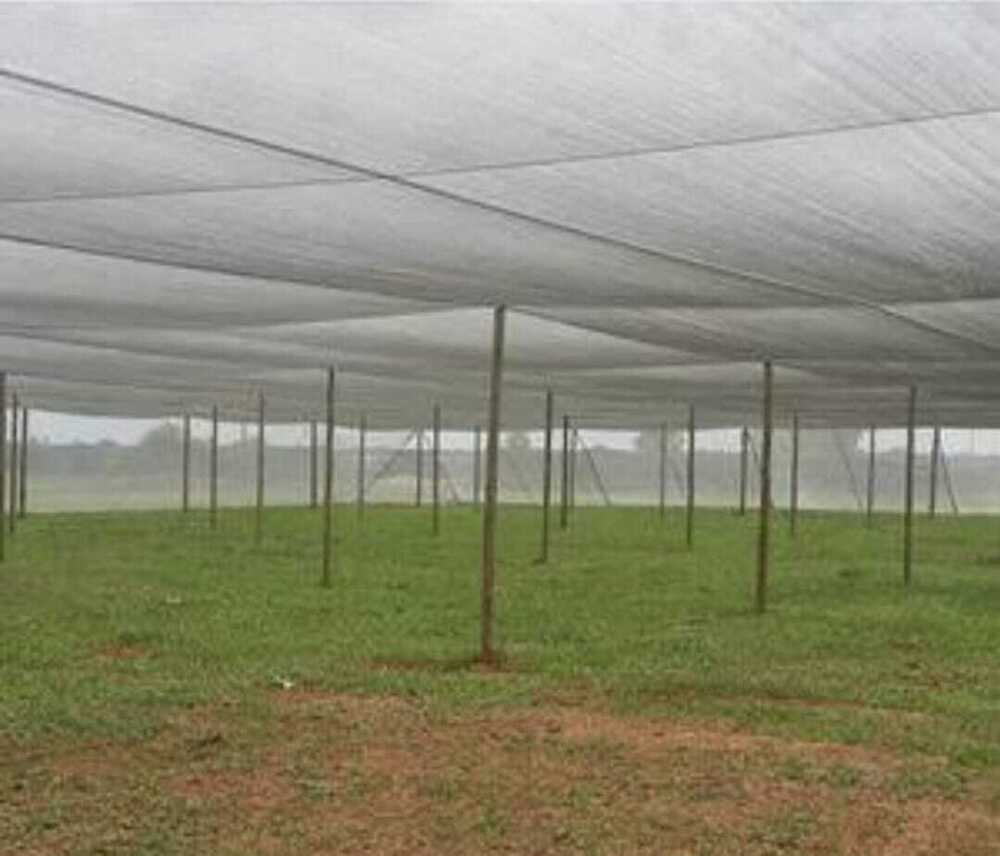 Wire Rope Net House - Wooden & Bamboo Frame, Large Size | Durable Shade Net Coverage For Enhanced Sun Protection