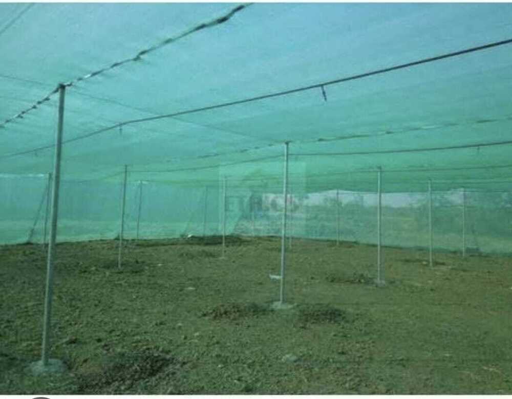 Wire Rope Net House - Wooden & Bamboo Frame, Large Size | Durable Shade Net Coverage For Enhanced Sun Protection