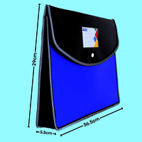 Plastic Button File Folder Matt Matt Opaque