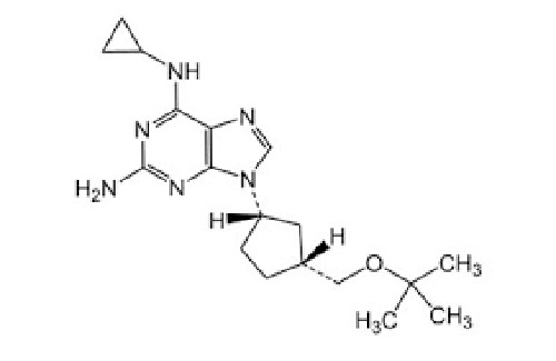 Abacavir EP Impurity F/ O-t-Butyl Derivative Abacavir (Abacavir t-Butyl Ether)