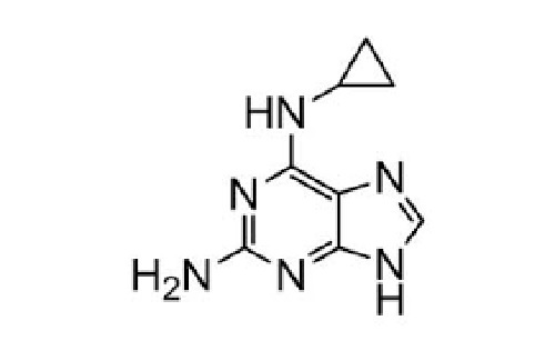 Abacavir Cyclopropyl Diamino Purine Impurity