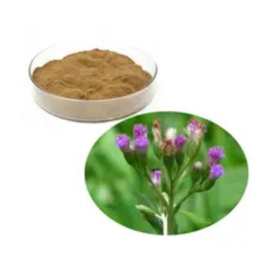 Sahadevi Extract (Vernonia Cinerea) 