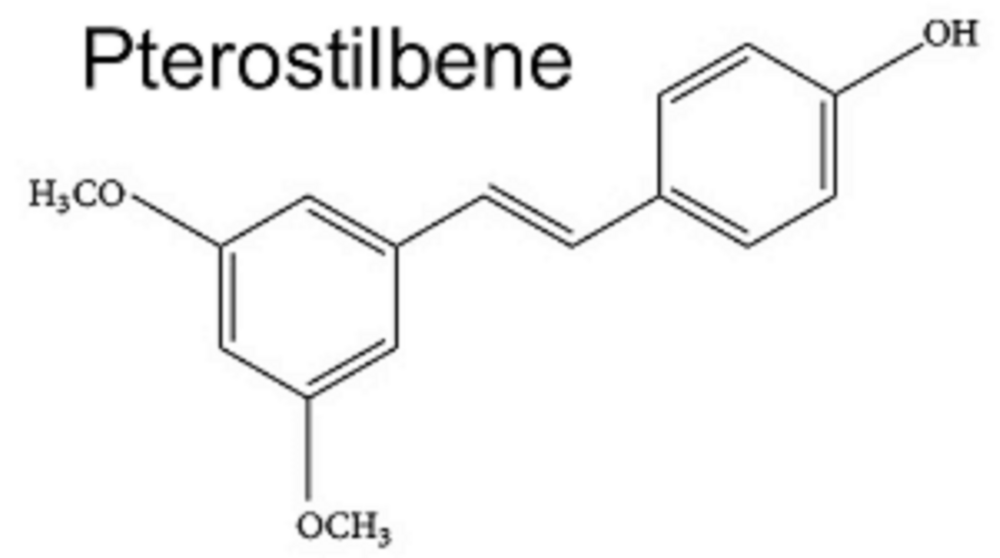 Pterostilbene 90%